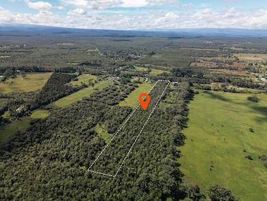 0 Volcano Rd unit 725030, Volcano, HI 96785 - photo 5