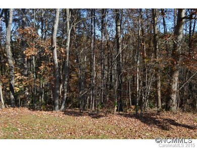 35 Mary Rose Ln, Leicester, NC 28748 - photo 6