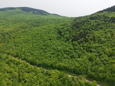 DJI_20250604110006_0018_D