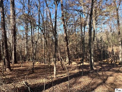 0 Audubon Dr unit Savannah Trace, Ruston, LA 71270 - photo 3