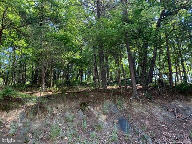 0 Lee Ashby Rd, Basye, VA 22810 - photo 4