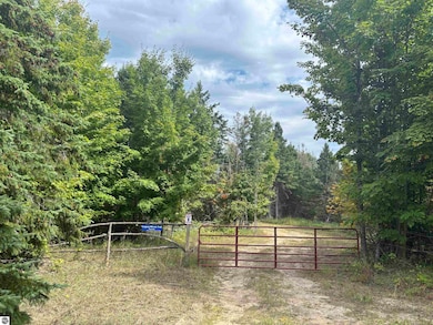 0 N Henschell Rd, Garfield Township, MI 49633 - photo 2