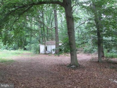 2307 4h Park Rd, Centreville, MD 21617 - photo 4