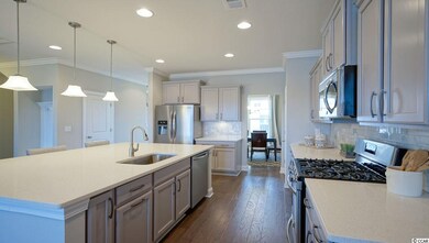 1536 Parish Way unit Lot 193 Tillman E, Myrtle Beach, SC 29577 - photo 7