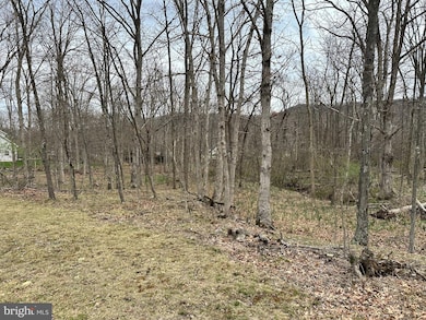 0 Timberlake Estates - Lot 24 unit WVMI2003320, New Creek, WV 26743 - photo 2