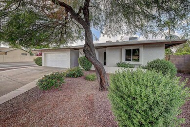 1854 W Juanita Ave, Mesa, AZ 85202 - photo 3