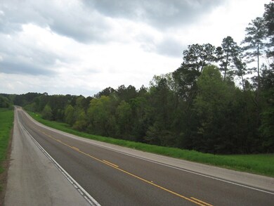 5.49 ac Farm To Market 225, Nacogdoches, TX 75964 - photo 6