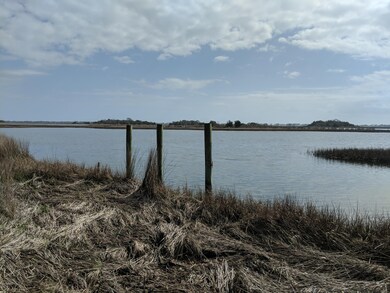 3 Sloop Point Loop Rd, Hampstead, NC 28443 - photo 4