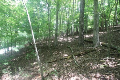 Lt 2628 Garnet Dr, Ellijay, GA 30540 - photo 4