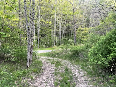 00 Bob Byrd Rd, Spanishburg, WV 25922 - photo 4