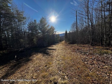 0 Bruce Cross unit 20255843, Lexington, NY 12468 - photo 3