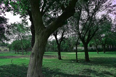 317 S 6th St, Donna, TX 78537 - photo 5