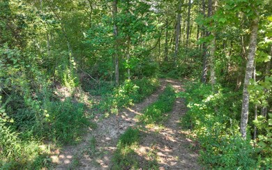 13.32 Old Tails Creek Rd, Ellijay, GA 30540 - photo 7