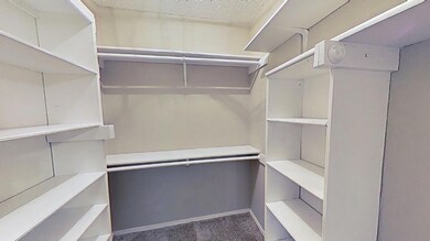 Spacious closet with carpet floors