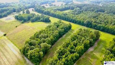 1914 N Old Georgetown Rd, Scranton, SC 29591 - photo 6