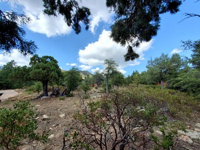 148 Buffalo Run, Pine, AZ 85544 - photo 5