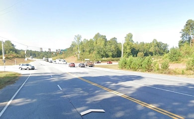 1250 U S 129, Cleveland, GA 30528 - photo 3