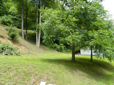 454 Newsome Branch, Virgie, KY 41572 - photo 5