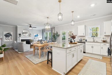 3079 Hallsdale Dr, Elgin, SC 29045 - photo 7