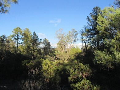 Photo 05