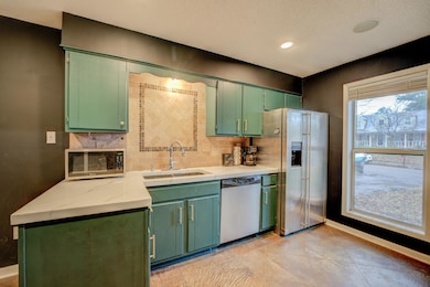 Kitchen with sink, green cabinets, stainless steel