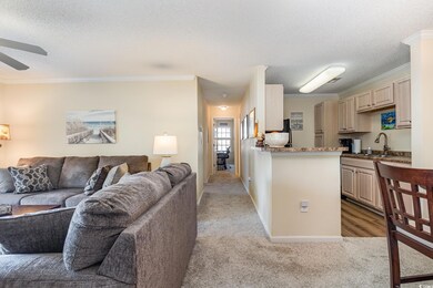 Carpeted living room featuring sink, ornamental mo