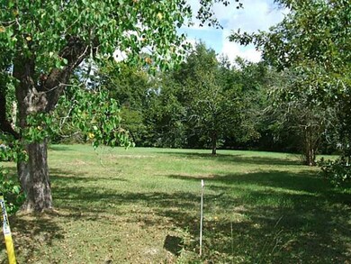 Land/Lot.