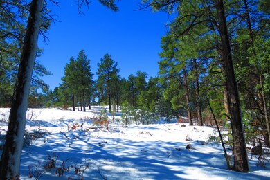 655 Mora Ln unit 79, Trinidad, CO 81082 - photo 3