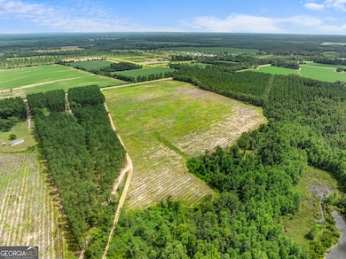 APPRX 34.2 ACRE Highway 301 N, Statesboro, GA 30458 - photo 7