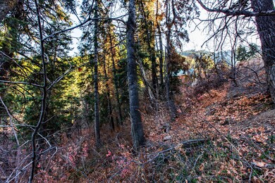 165 Paradise Road Park City UT-006-006-P