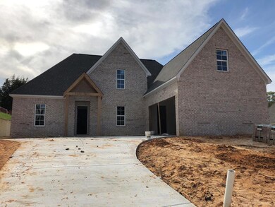 422 Elizabeth Ct, Oxford, MS 38655 - photo 5