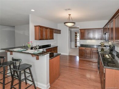 433 Elizabeth Valley Ln, Clover, SC 29710 - photo 5