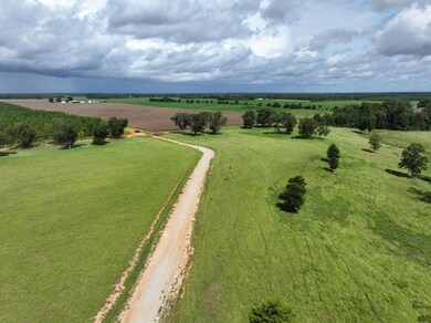 1412 Clark Rd, Blakely, GA 39823 - photo 4