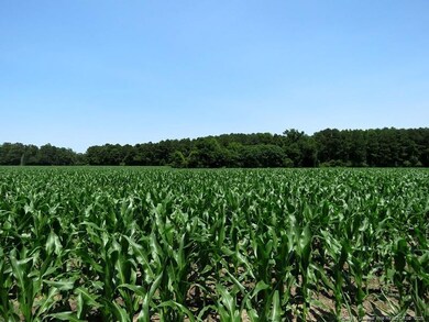 TBD Nc Hwy 71 Hwy, Red Springs, NC 28377 - photo 6