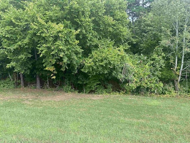 000 Hwy 65 N, Clinton, AR 72031 - photo 3