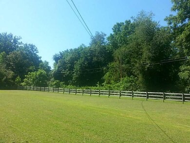 Yard/Garden.
