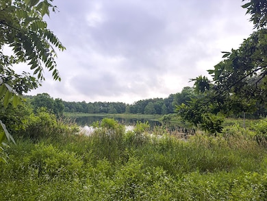 9283 E 250 S, Pierceton, IN 46562 - photo 4