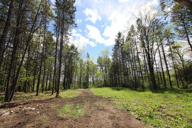 Say goodbye to city life and welcome to the country life.