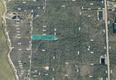 10600 Pearson Rd, Milton, FL 32583 - photo 5