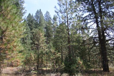 timber
