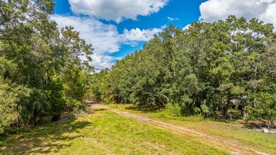 0 Yaremich Rd Lot 3, Moncks Corner, SC 29461 - photo 5