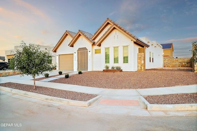 2300_Tierra_Zaria (4)