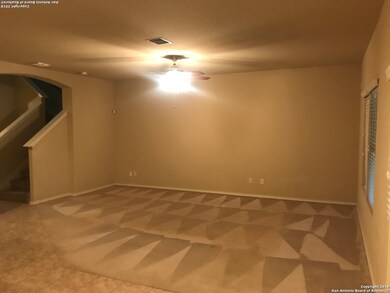 4030 Pavo Viejo, San Antonio, TX 78223 - photo 2