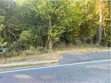 24075 Blood River Rd, Springfield, LA 70462 - photo 2