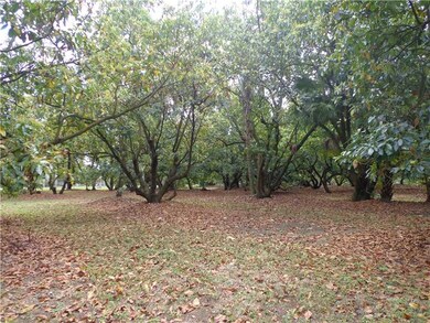 23800 SW 167th Ave, Homestead, FL 33031 - photo 4