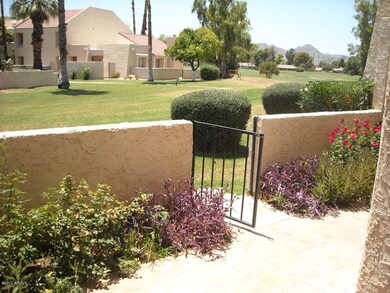 Patio (1)
