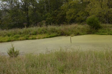 0 Bear Creek Rd, Lawrenceburg, KY 40342 - photo 4