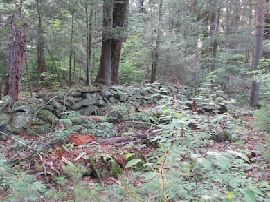 7 Stadler Heights, Winsted, CT 06098 - photo 6