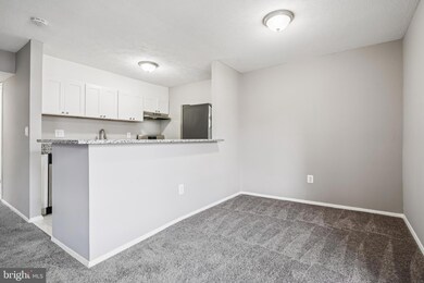 534 Wilson Bridge Dr unit C-1, Oxon Hill, MD 20745 - photo 7