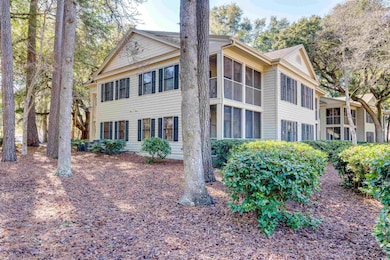 14 Stillwood Dr unit 2, Pawleys Island, SC 29585 - photo 2